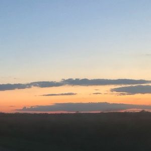 Meet your Posher, Lily